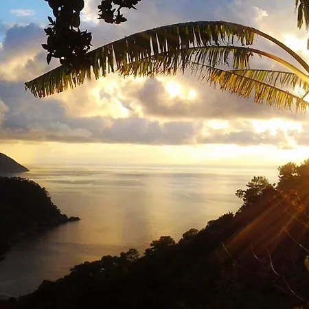 Fullmoon Camp Cabană Faralya