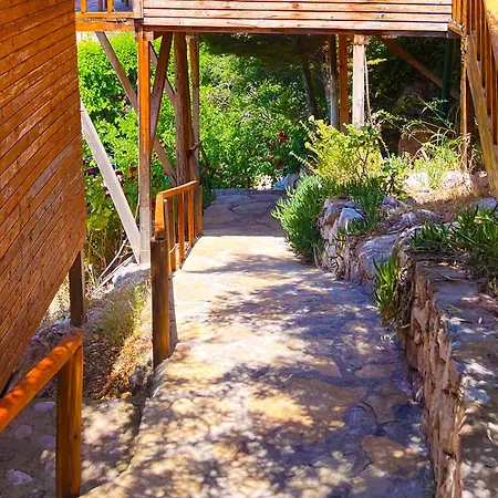 Fullmoon Camp Cabană Faralya