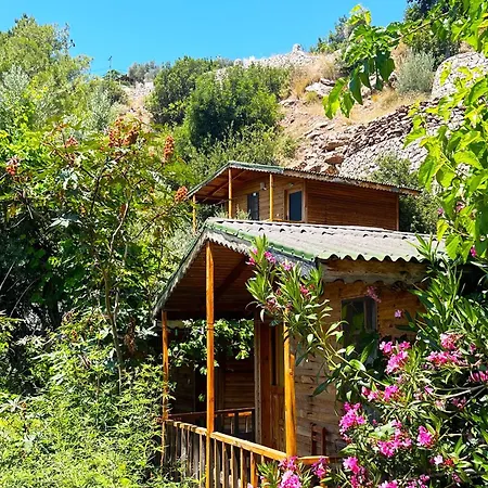 Cabană Fullmoon Camp *