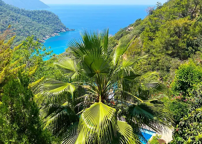 Orman Evi Fullmoon Camp Faralya