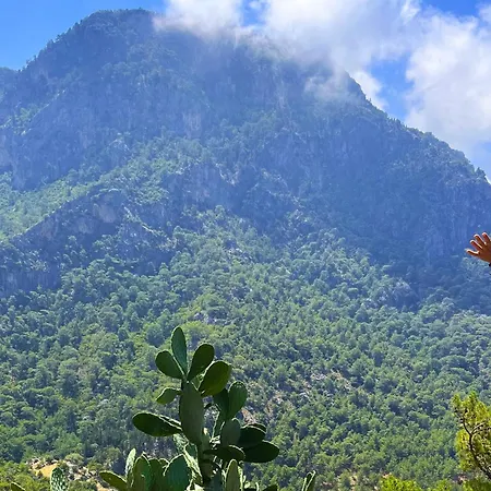 Fullmoon Camp Chata Faralya