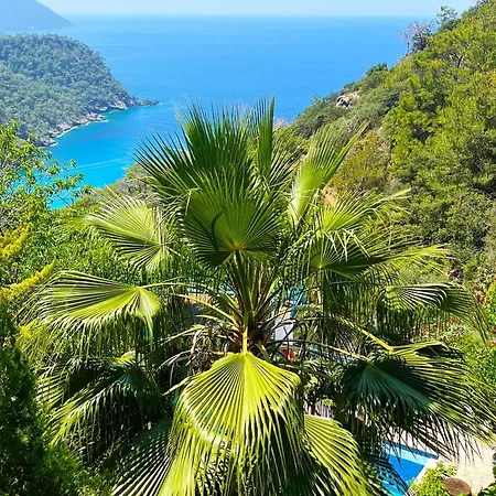 Chata Fullmoon Camp Faralya